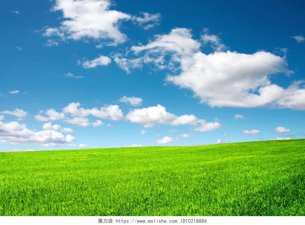 清新自然风景蓝天白云草地草原桌面壁纸风景图